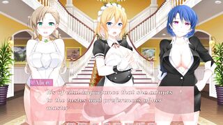 'himeko Maid' Cutie Visual Novels #80