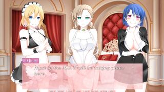 'himeko Maid' Cutie Visual Novels #80