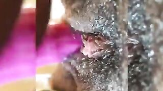 Black Teens Plays with Toy up Close
