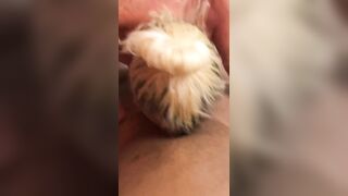 pov Blow Job in Fucking bbc 2hot