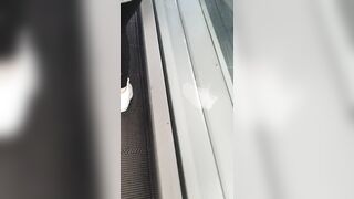 Step Cougar went to the Supermarket with a Dildo on the Remote