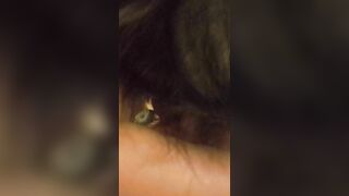 Head oriental Gf Sloppy