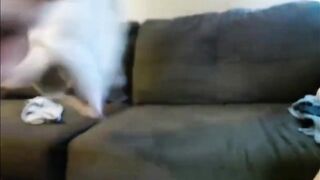 Long Cum inside Cunt With Mouth Face