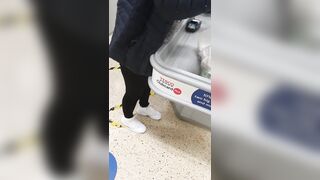 Step Milf into Pants Stuck under Shelf got Screwed by Step Son