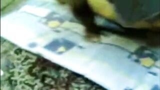 Arabic 1 hijab Lebanese sex