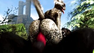 Furry/Human Compilation 50\50 from Jukai