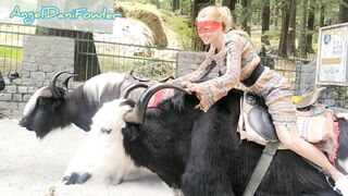 Angel Fowler having Fun Sitting on Yak