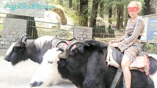 Angel Fowler having Fun Sitting on Yak