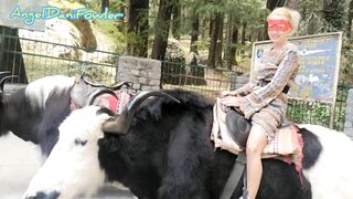 Angel Fowler having Fun Sitting on Yak