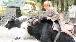 Angel Fowler having Fun Sitting on Yak