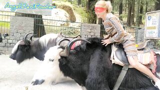 Angel Fowler having Fun Sitting on Yak