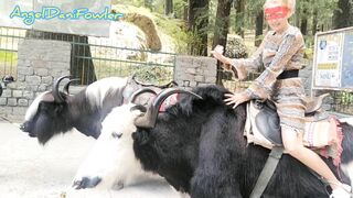 Angel Fowler having Fun Sitting on Yak