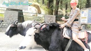 Angel Fowler having Fun Sitting on Yak