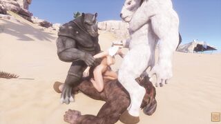 Wild Life / 3 Long Furry having some Fun