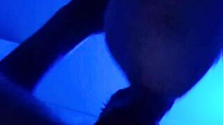 Bushkamori Lovers Passionate Oral Sex