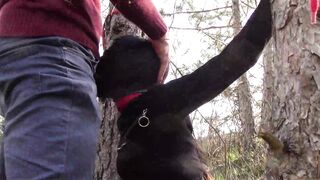 The Throater 2021: Submissive Masked Hoe Tied Public Deeply into Heels and