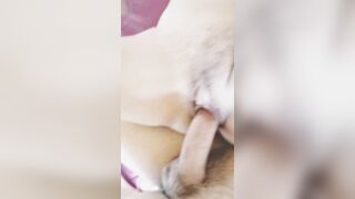 Aprieta Bien Rico