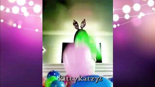 MV BUNNIES OF 2021 FREE