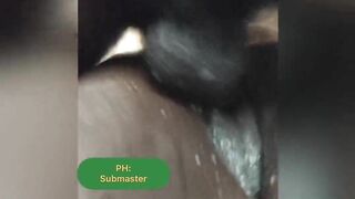 Soak Creamy Snatch Cum on Penis ALOT!!