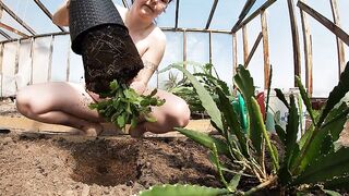 Planting Cacties without Underwear
