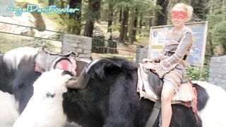 Voluptuous Masked Blonde having Fun Ride Real Unshaved Yak