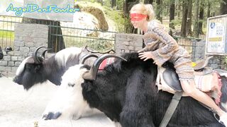 Voluptuous Masked Blonde having Fun Ride Real Unshaved Yak