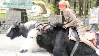 Voluptuous Masked Blonde having Fun Ride Real Unshaved Yak