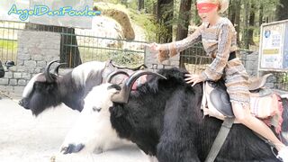 Voluptuous Masked Blonde having Fun Ride Real Unshaved Yak