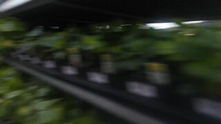 milf Mastrubates and Ejaculates into Garden Store