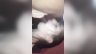 big black cock Cuckold