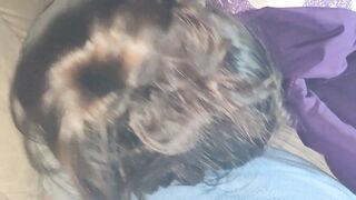 Step Cougar Secretly Blows Son Penis during Film Night Dad Left the