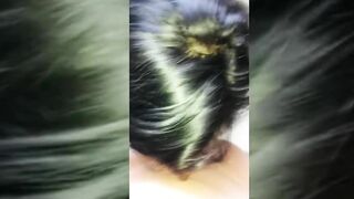 NIGHT Accident with StepMom into a Hotel