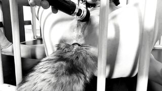 My Kitty Love to Cum and Squirt - Fetish Snatch and Booty