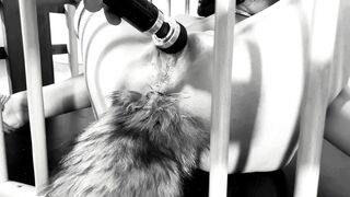 My Kitty Love to Cum and Squirt - Fetish Snatch and Booty