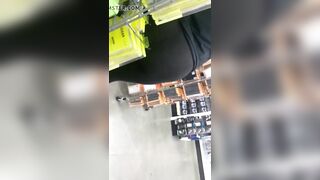 Black BBW VPL in Dollar Tree