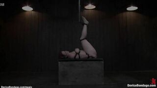 Waxed big boobed tied bimbo fingering