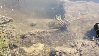 Naked River Swim and Fucking