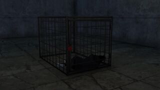 WBP251 Hamburg Street Life Bonus Sex Tape Cage