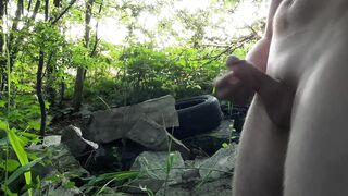 Very Turned On Bro Jerk off inside Bushes and Cars Drive by -