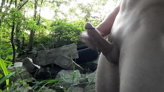 Very Turned On Bro Jerk off inside Bushes and Cars Drive by -