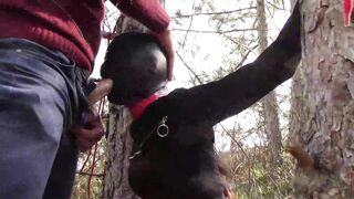 Bound to a Tree on a Cutie Outfit, Masked and Outdoors Deep Throat