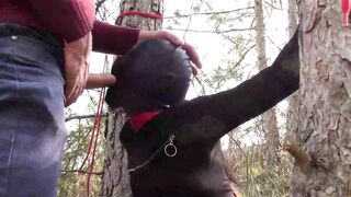 Bound to a Tree on a Cutie Outfit, Masked and Outdoors Deep Throat