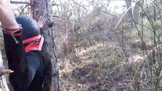 Bound to a Tree on a Cutie Outfit, Masked and Outdoors Deep Throat