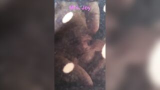 Morning Masturbation View me Rub my Soak and Wanting Cunt for you