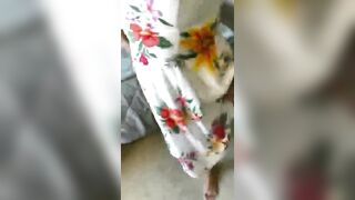Step Sis Banged my Big Penis and Squirt!