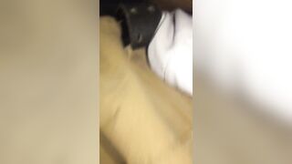 Riding bbcs while i'm Asleep