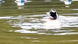 Voyeur Hiker Spies Hot Slim Dipping Lady into the Lake. then Loving