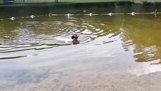Voyeur Hiker Spies Hot Slim Dipping Lady into the Lake. then Loving