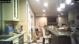 Amrican barely legal kitchen bra secret web webcam leak 1005 (NN NS)