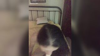 Lonely chinese milf